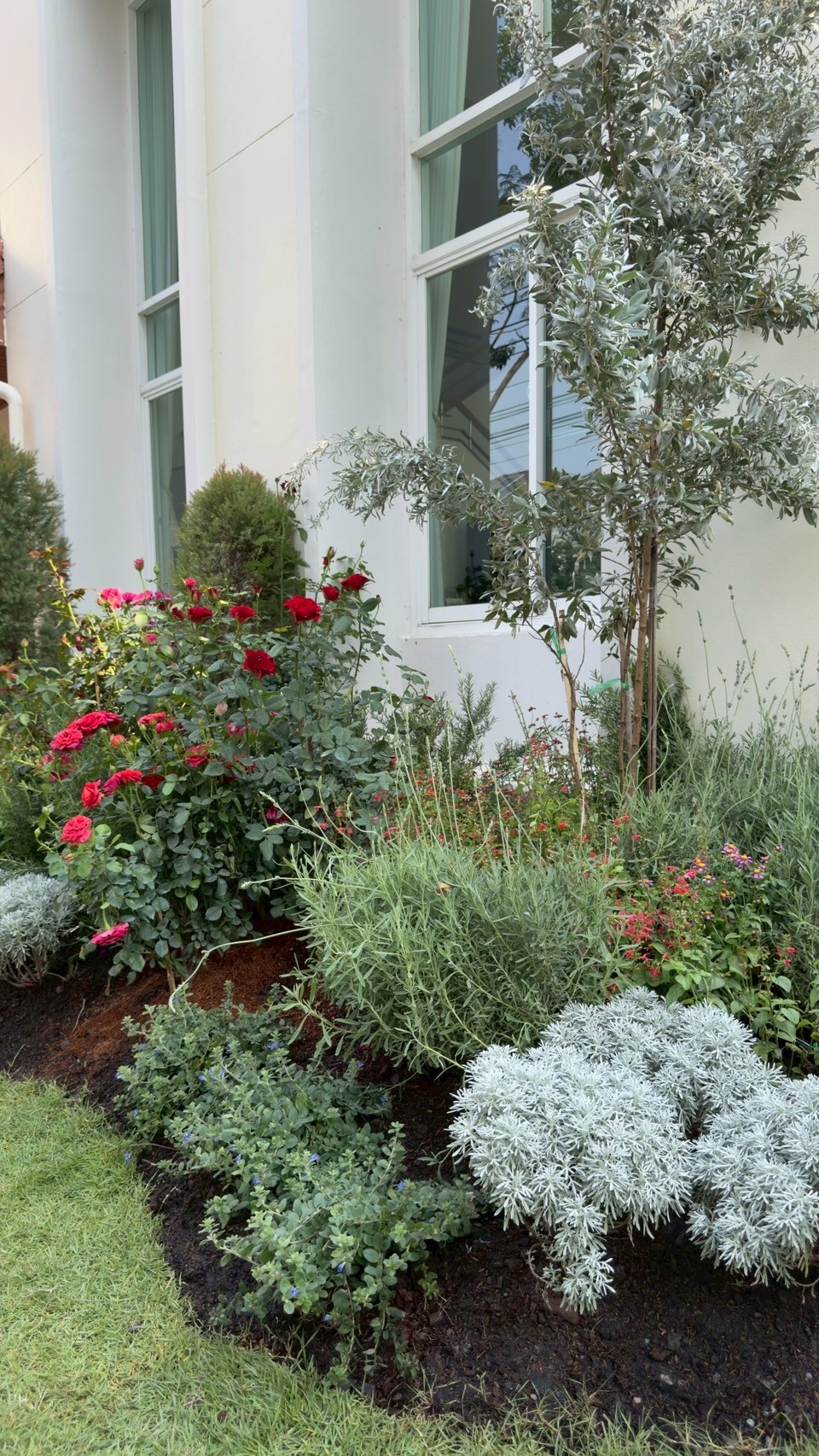 nontaburi_2 project detail 28